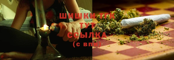 прущие грибы Балахна