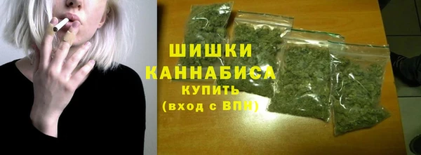 прущие грибы Балахна
