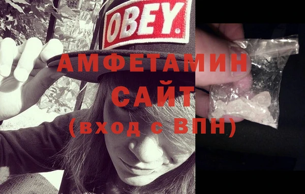 прущие грибы Балахна